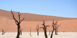 Namibia - wakacje w Afryce z biurem podróży LogosTour